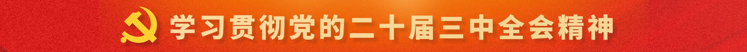 學(xué)習(xí)貫徹黨的二十屆三中全會精神